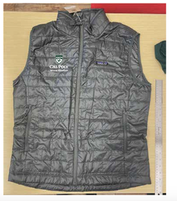 Patagonia Vest WVIT
